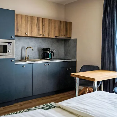 شقة Studio Anenske Udoli-4 By Interhome هاراشوف